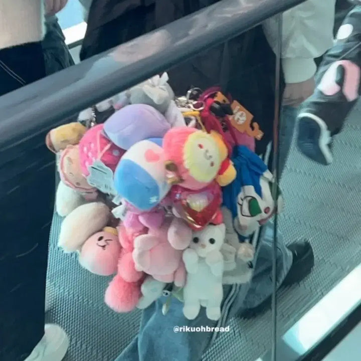 [BUNJANG] NCT WISH Sakuya Apple Keyring + Cat Keyring Bundle Set / 사쿠야 다이소 사과키링 엔시티 위시+모자 쓴 고양이 키링
