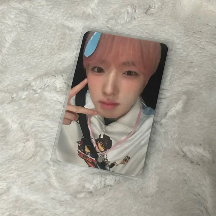 [SOLD OUT] 엔시티위시 컬러 싱가포르 미공포 특전 싱가포르 사쿠야 포카 서프착장 양도