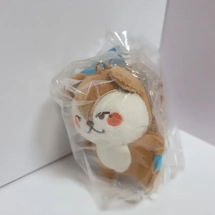[BUNJANG] ONF U19 U-zzang Keyring + Photocard / 온앤오프(ONF) 온꼬미즈 유짱 키링+포카