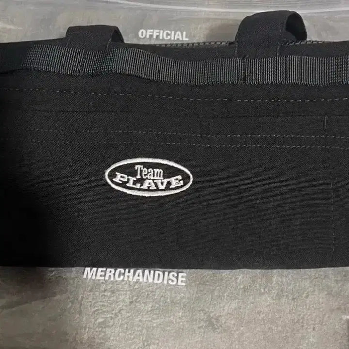 [BUNJANG] PLAVE Official Light Stick Bag / 플레이브 응원봉 가방 양도
