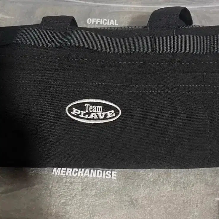 [BUNJANG] PLAVE Official Light Stick Bag / 플레이브 응원봉 가방 양도