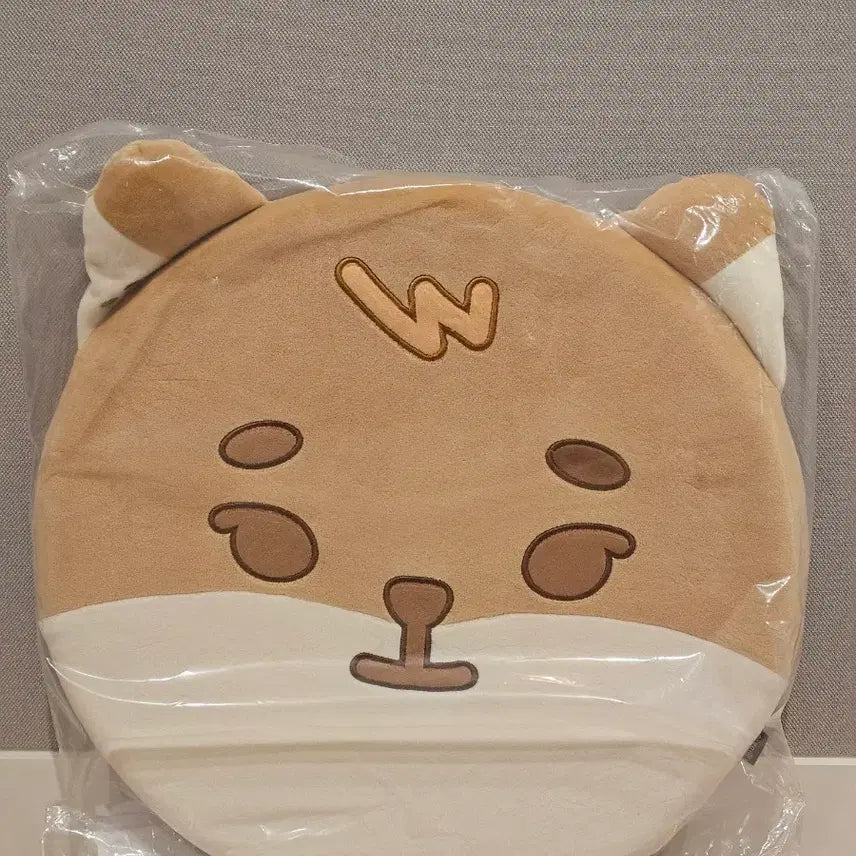 [BUNJANG] Day6 Petit Mels Cushion / 데이식스 쁘띠멀즈 방석 케