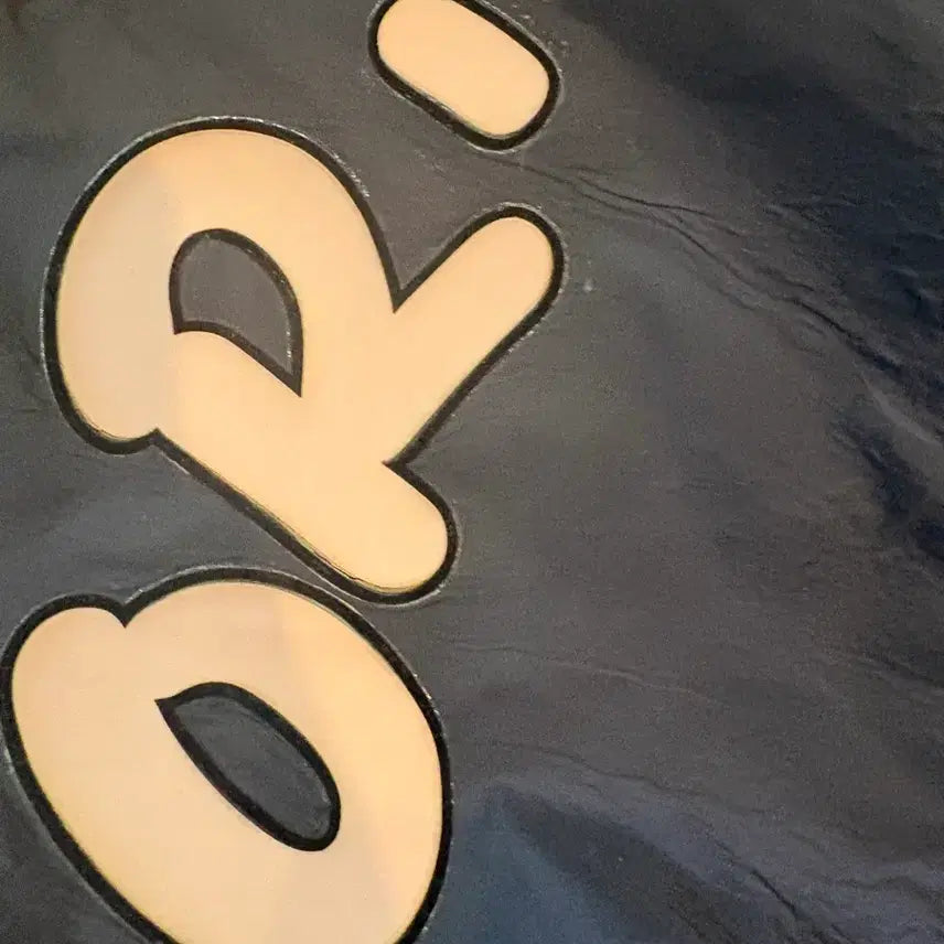 [BUNJANG] Dior x KAWS Windbreaker Jacket (Size 44) / 사용감다분 사진참고 디올 카우스 바람막이 44사이즈