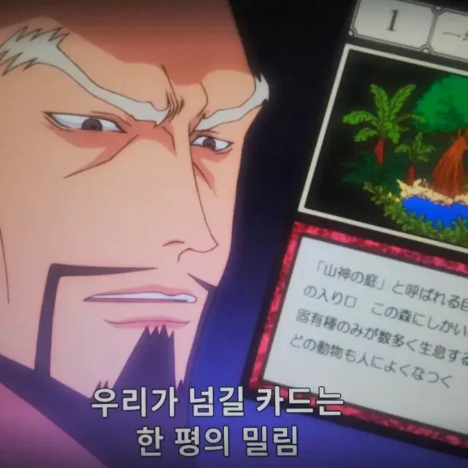 [BUNJANG] Hunter x Hunter Grid Island Acrylic Card / 헌터헌터 그리드아일랜드 1 한평의밀림 카드