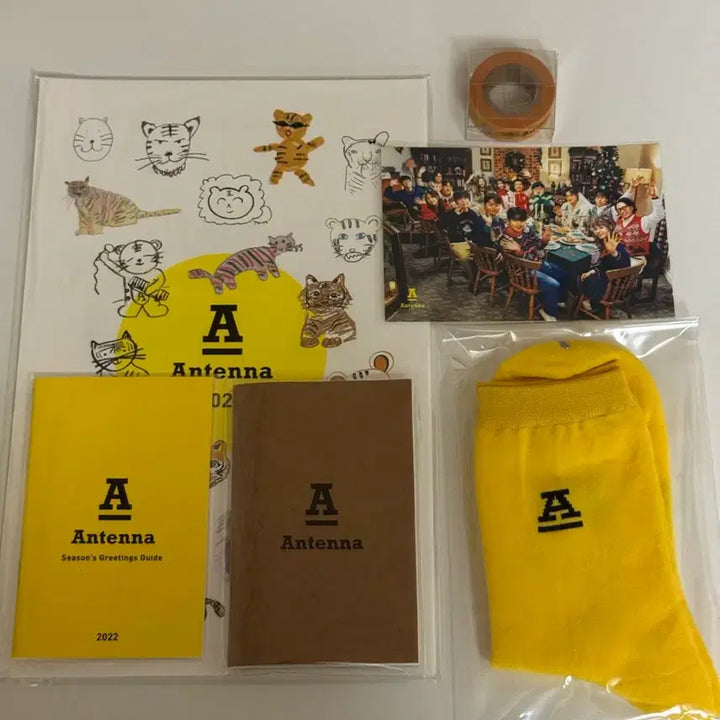 [BUNJANG] Antenna 22 Season&