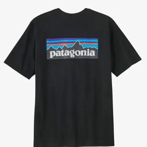 [SOLD OUT] 파타고니아 반팔티