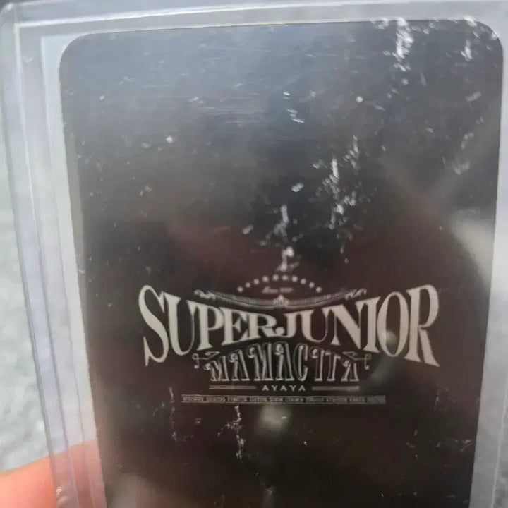 [BUNJANG] Super Junior Donghae Photocard / 슈퍼주니어 동해 포토카드