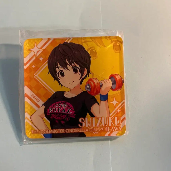 [BUNJANG] Idolmaster Oikawa Shizuku Badge / 아이돌 마스터 :: 오이카와 시즈쿠 :: 뱃지