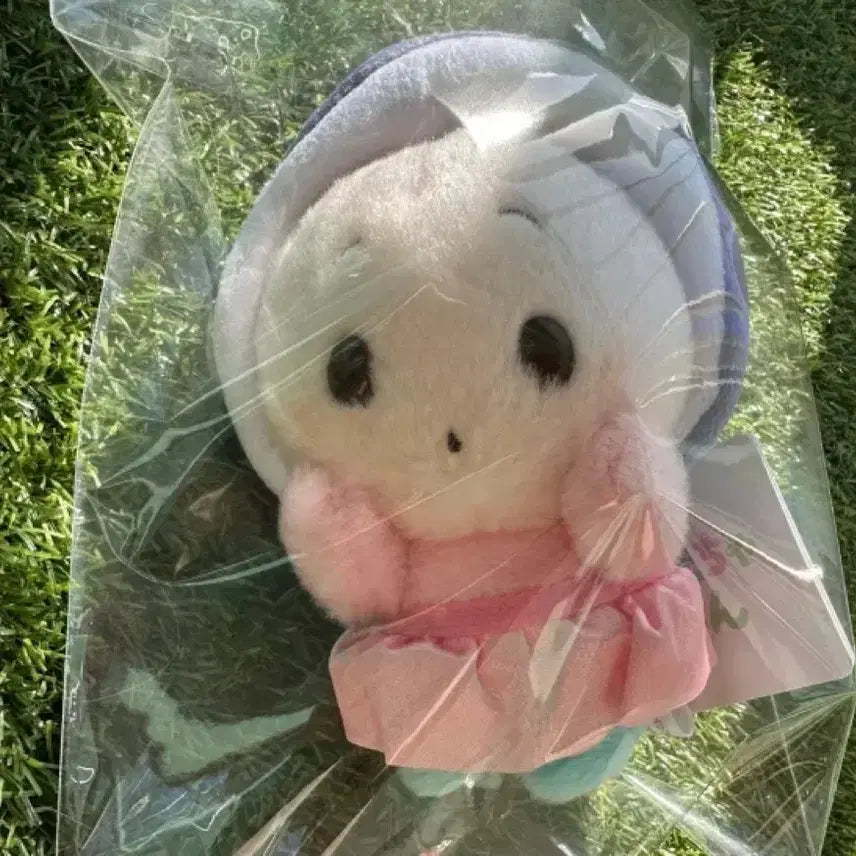 [BUNJANG] Disney Young Oyster Ururipoccha Plush / 디즈니 앨리스 영오이스터 우루포짱 인형