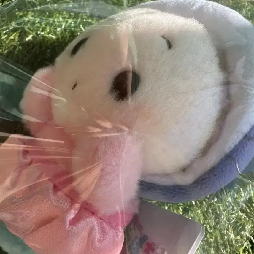 [BUNJANG] Disney Young Oyster Ururipoccha Plush / 디즈니 앨리스 영오이스터 우루포짱 인형