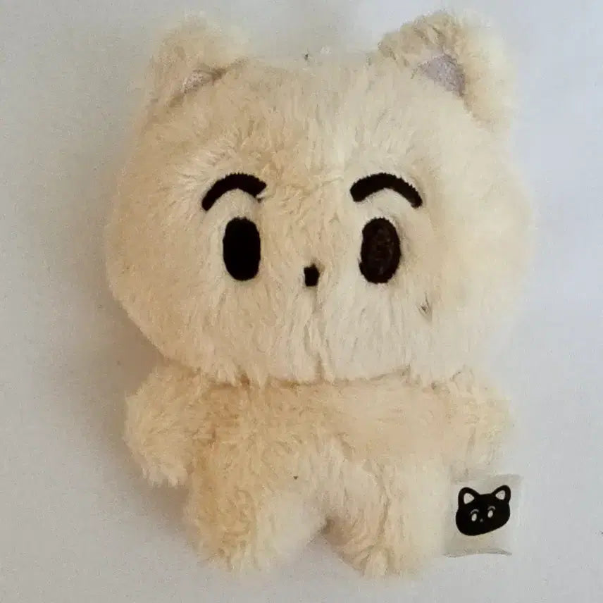 [BUNJANG] NCT Mark Cheese Cat Doll / 엔시티 마크 인형 치즈냥 애옹냥