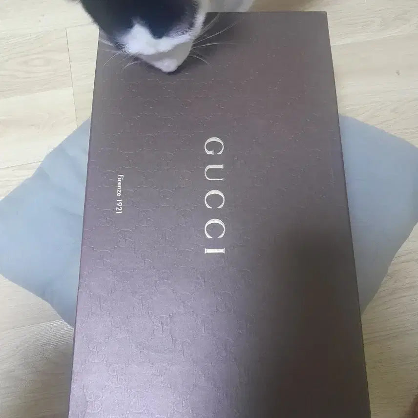 [BUNJANG] Gucci Unisex Leather Shoes 250 / 구찌 정품 구두 남녀공용 250