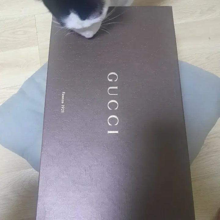 [BUNJANG] Gucci Unisex Leather Shoes 250 / 구찌 정품 구두 남녀공용 250