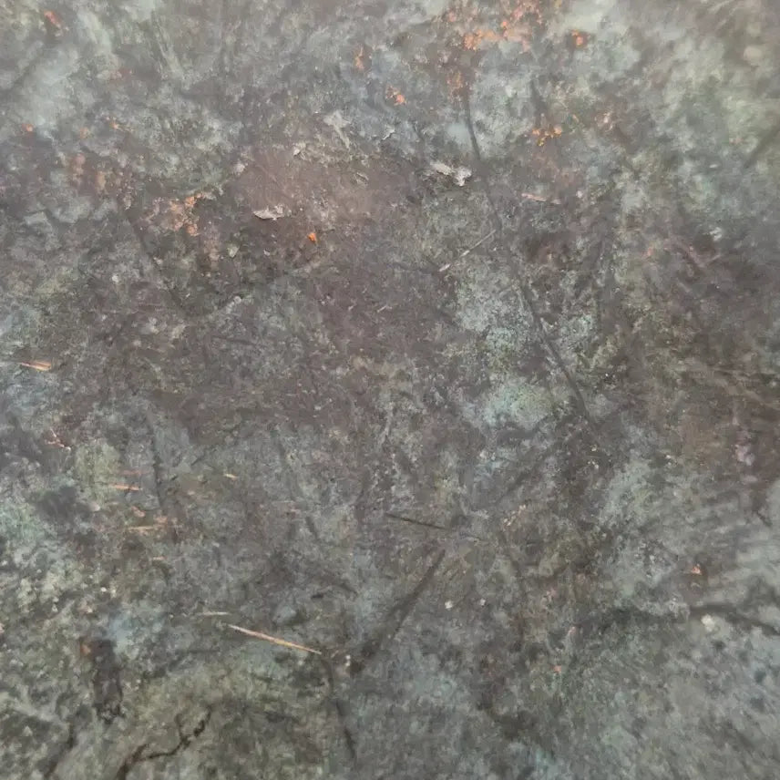 [BUNJANG] TLV Donggyeong Mirror / TLV동경