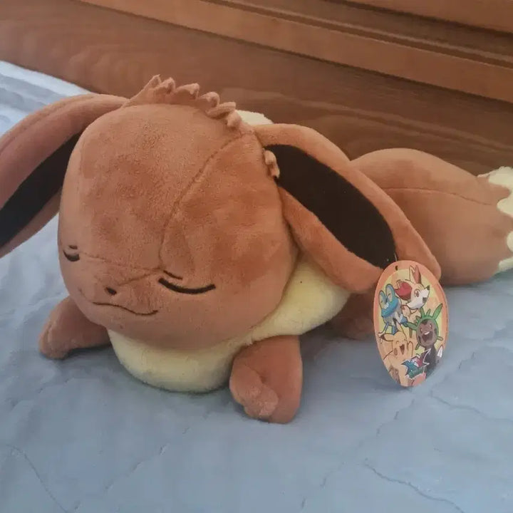 [BUNJANG] Pokemon Sleeping Eevee Plush Doll / 포켓몬스터 잠 자는 이브이 인형