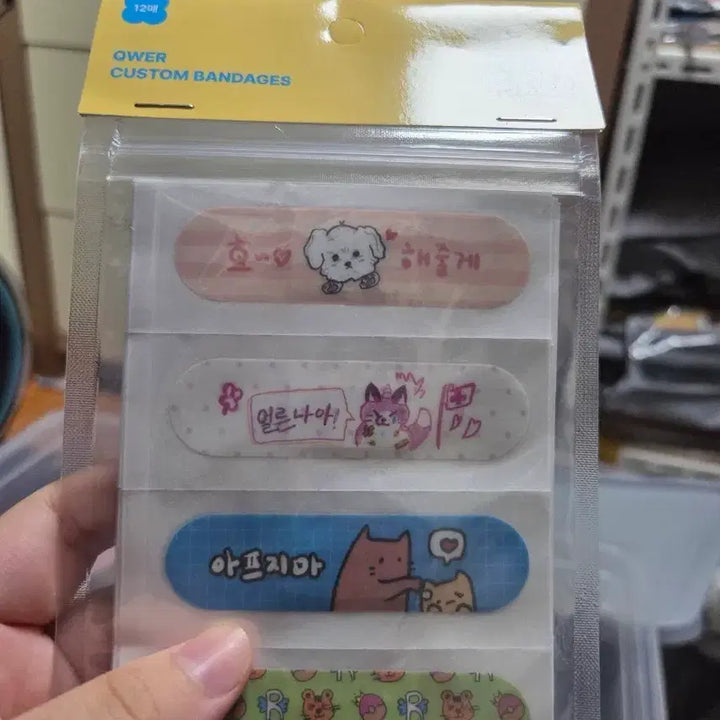 [BUNJANG] QWER Character Design Bandage 12-Pack / QWER 캐릭터 디자인 반창고 12매입