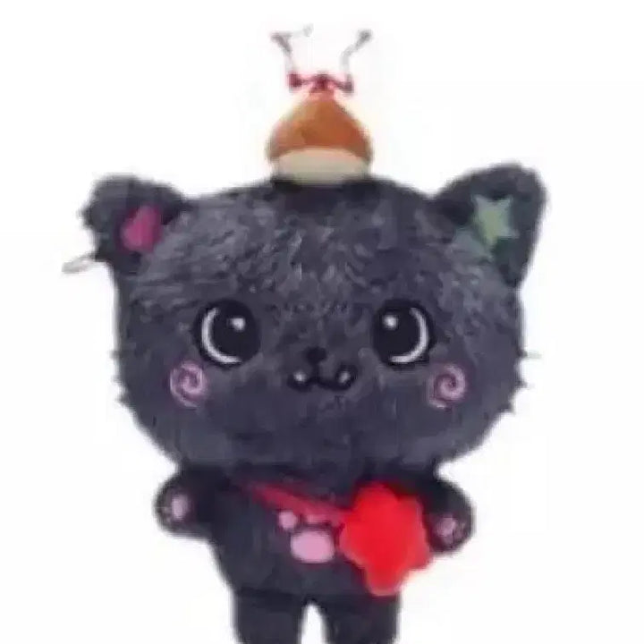 [SOLD OUT] 엔시티위시 위시돌 쿠리 초판 미개봉 NCTWISH 리쿠