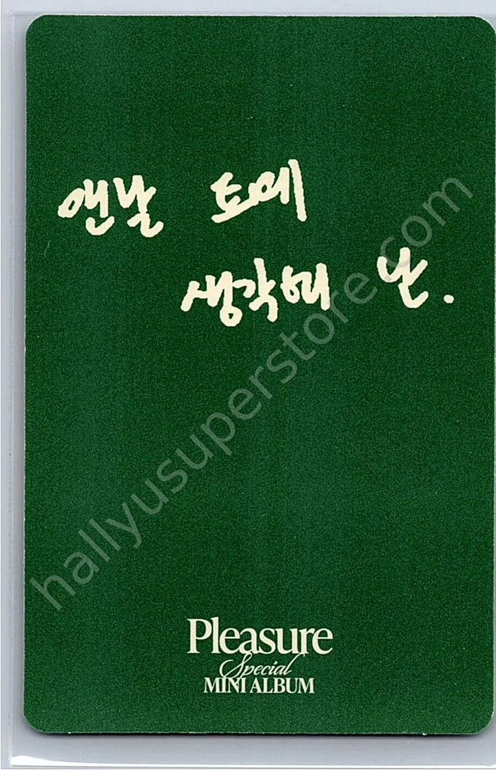 TREASURE - Jihoon - Pleasure album photocard green version photocard set