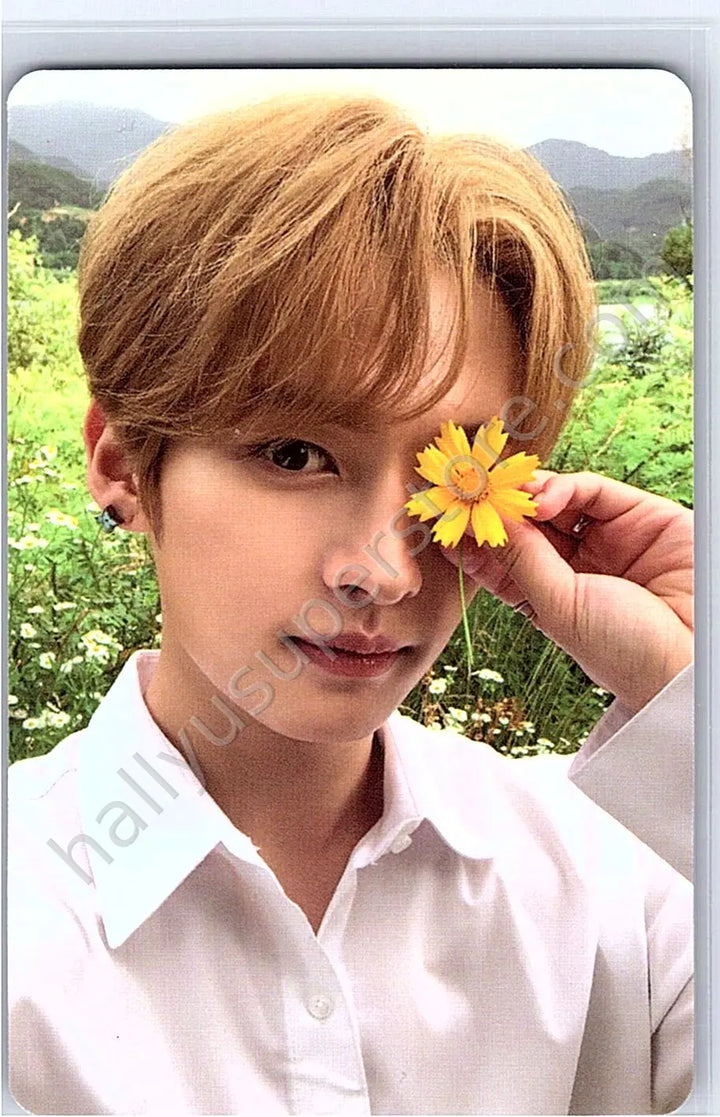 Stray Kids - Lee Know - NoEasy album photocard first press only limited edition photocard set