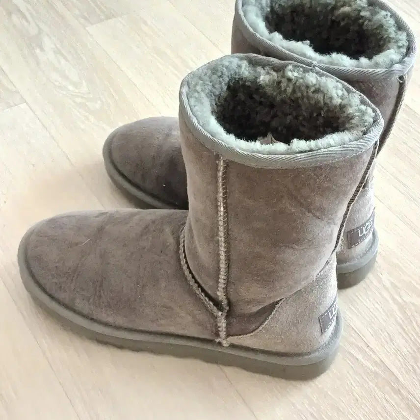 [BUNJANG] UGG 어그 부츠 그레이 / UGG 어그 부츠 그레이