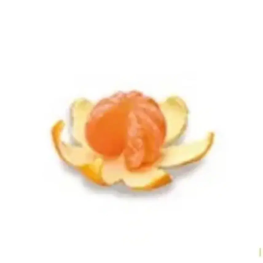 [BUNJANG] Re-Ment Family Restaurant Miniature Food Series / 리멘트 귤 본가 식완
