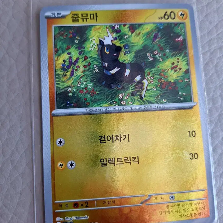 [BUNJANG] Pokemon Jumyumma Master Ball Card / 포켓몬 카드 줄뮤마 마스터볼