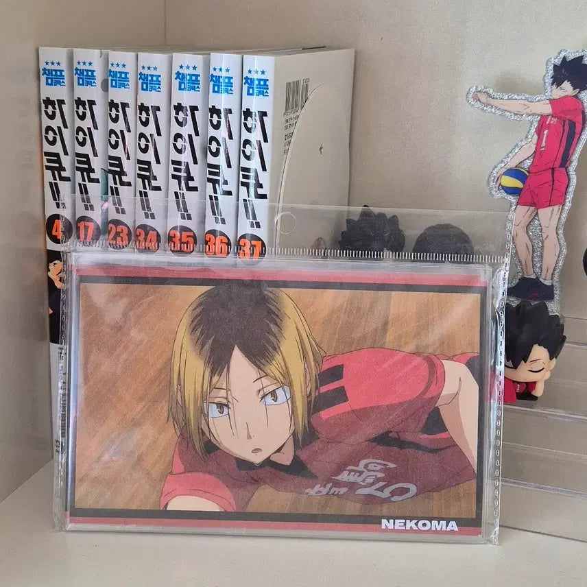 [BUNJANG] Haikyu Nekoma Postcard Set / 하이큐 네코마 엽서