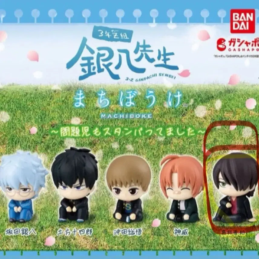 [BUNJANG] Gintama Machiboke Shinsuke Figure / 은혼 3학년 z반 마치보케 신스케 원가