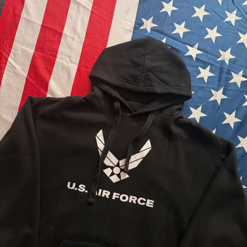 [BUNJANG] U.S. Air Force Sweat Hoodie / [L] military u.s air force 스웻 후드티셔츠