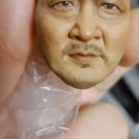 [BUNJANG] Hot Toys Ma Dong Seok Custom Figure / 핫토이 x 마동석 커스텀