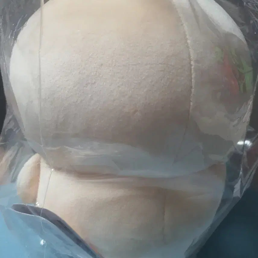 [BUNJANG] Chiikawa Usagi Chubby Plush / 봇차리 뚱뚱 우사기 중간 뚱띠 치이카와 뚱사기 인형