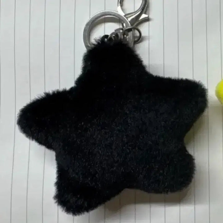 [BUNJANG] Unidentified Item / 맠가사리 판매