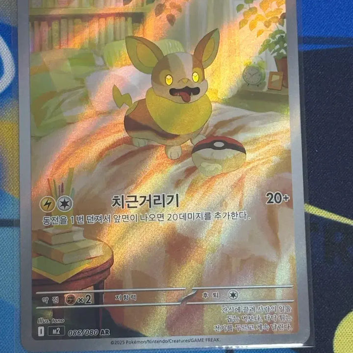 [BUNJANG] Pokemon Mungpachi AR Card / [귀여운 포켓몬카드] 멍파치 AR