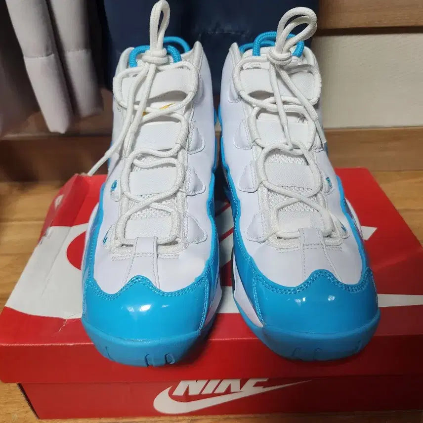 [BUNJANG] Nike Air Max Uptempo 95 Blue Fury Sneakers / [270] 나이키 에어 맥스 업템포 95 블루 퓨리