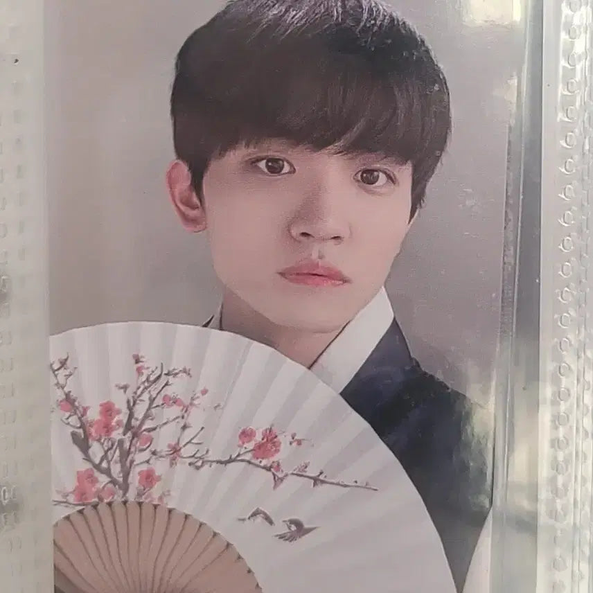 [SOLD OUT] (4/19까지)루시 신예찬 조원상 한복 포카 일괄
