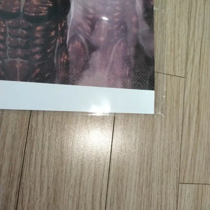 [BUNJANG] Attack on Titan 1st Artgraphy Poster / 진격의 거인 1차 아트그라피 포스터 판매합니다