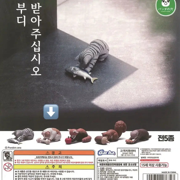 [BUNJANG] Pandanoana Bulldog Dog Gacha Figure / 판다노아나 부디 받아주십시오 가챠