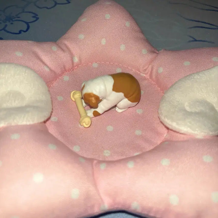 [BUNJANG] Pandanoana Bulldog Dog Gacha Figure / 판다노아나 부디 받아주십시오 가챠