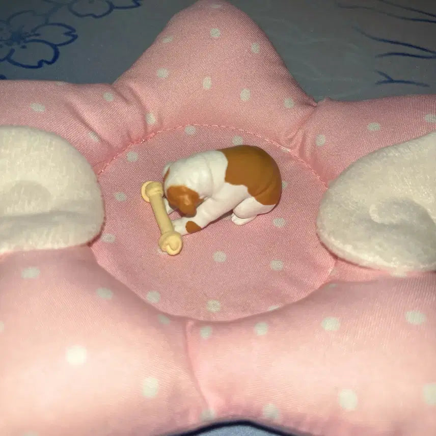 [BUNJANG] Pandanoana Bulldog Dog Gacha Figure / 판다노아나 부디 받아주십시오 가챠