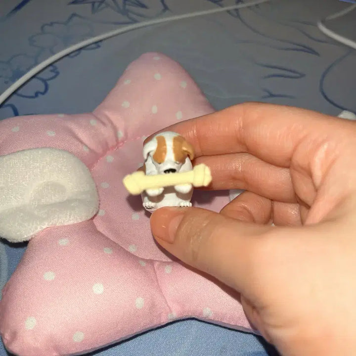 [BUNJANG] Pandanoana Bulldog Dog Gacha Figure / 판다노아나 부디 받아주십시오 가챠