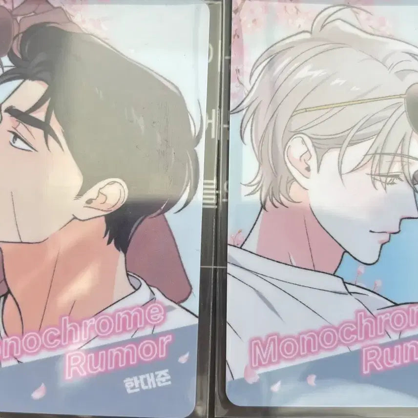 [SOLD OUT] 녹티아 럭드 포카 모노크롬루머