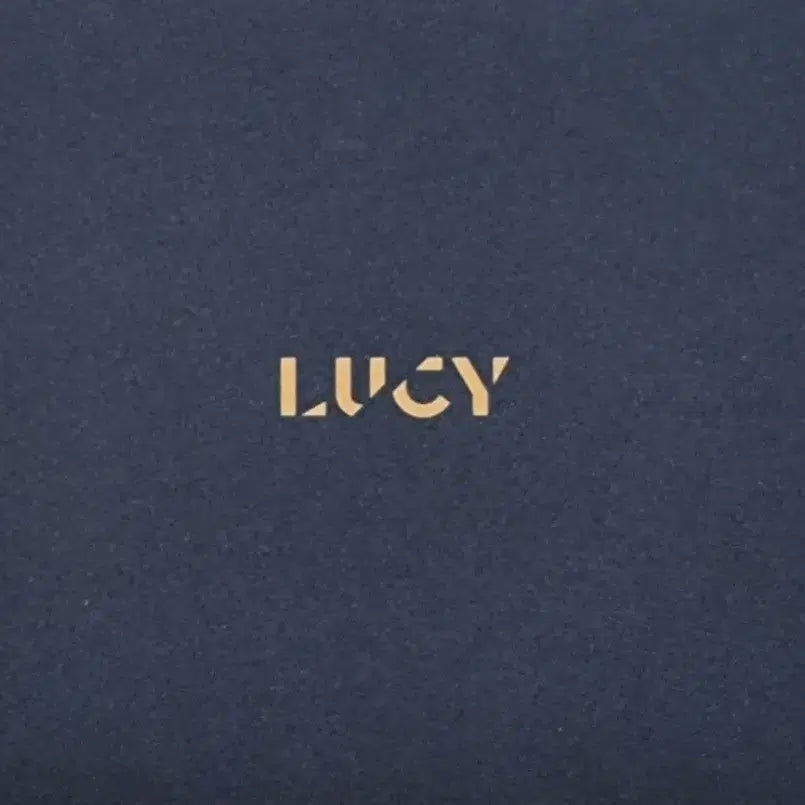 [BUNJANG] LUCY Dear Album / 루시 디어 dear 앨범 판매
