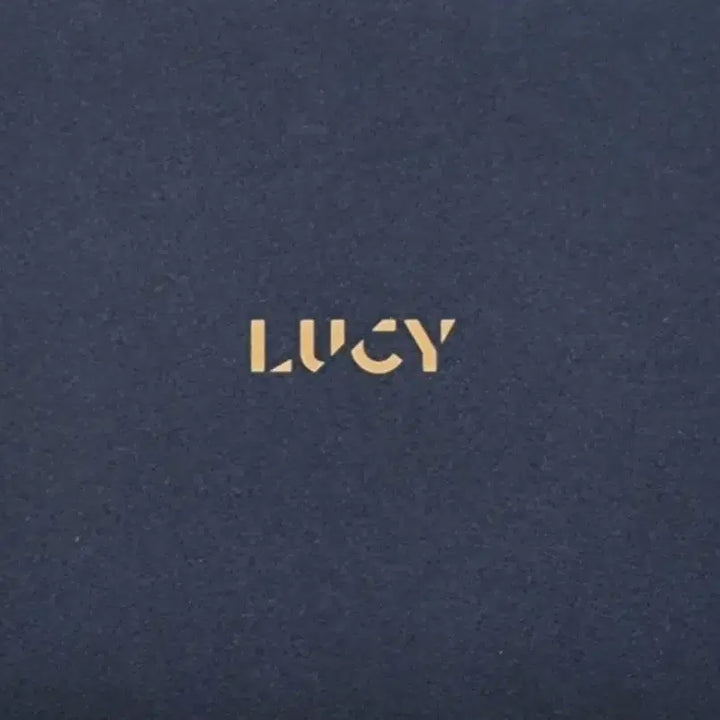 [BUNJANG] LUCY Dear Album / 루시 디어 dear 앨범 판매