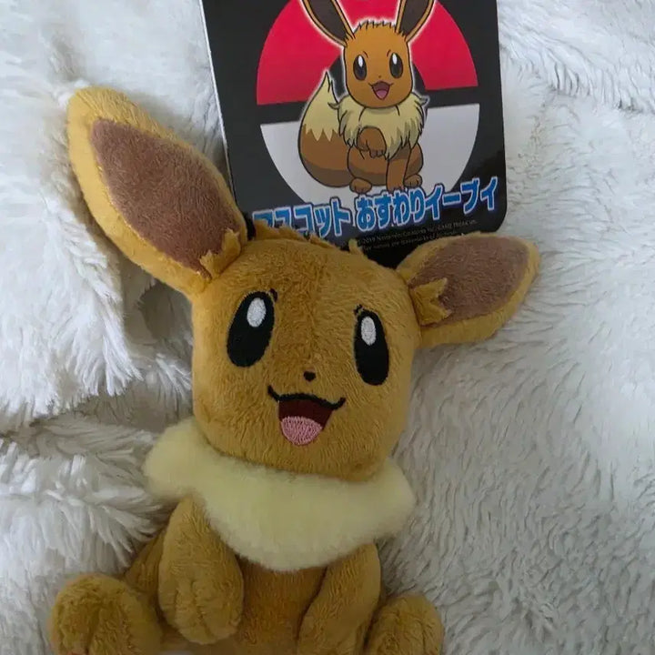 [BUNJANG] Pokemon Eevee Plush Keychain / 포켓몬 이브이 인형 키링
