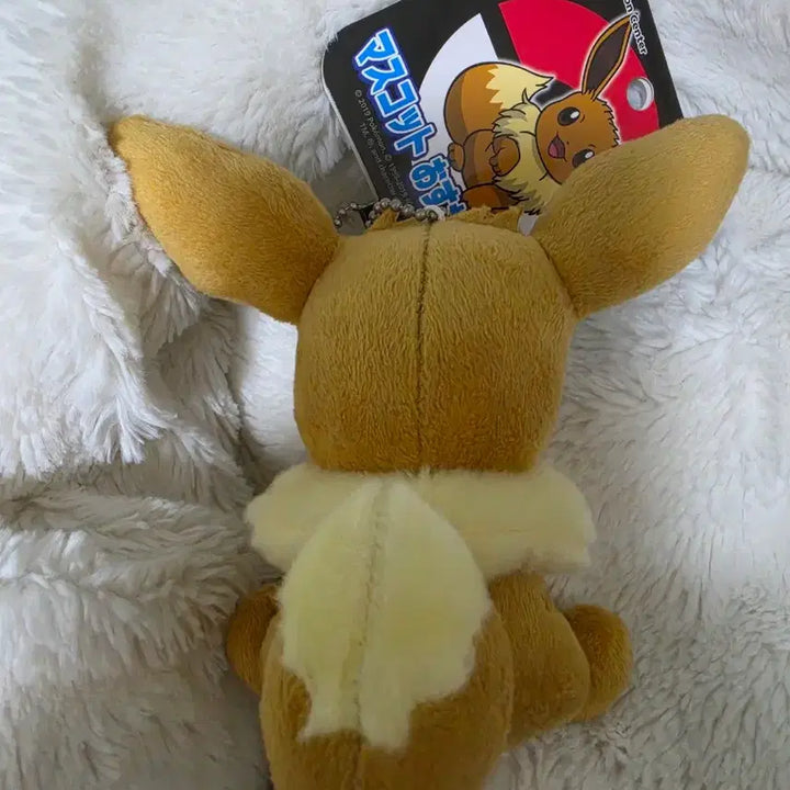 [BUNJANG] Pokemon Eevee Plush Keychain / 포켓몬 이브이 인형 키링