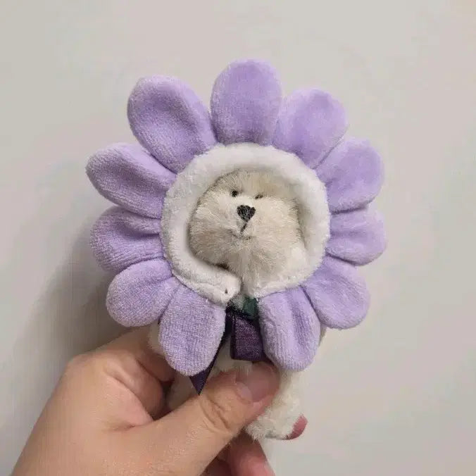 [BUNJANG] Boys Bear Violet Daisy Chocomi Plush Doll / 보이즈베어 보라데이지 쪼꼬미