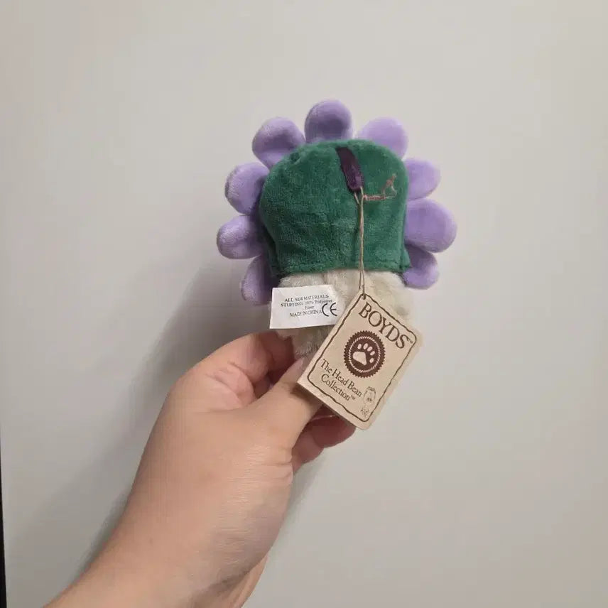 [BUNJANG] Boys Bear Violet Daisy Chocomi Plush Doll / 보이즈베어 보라데이지 쪼꼬미