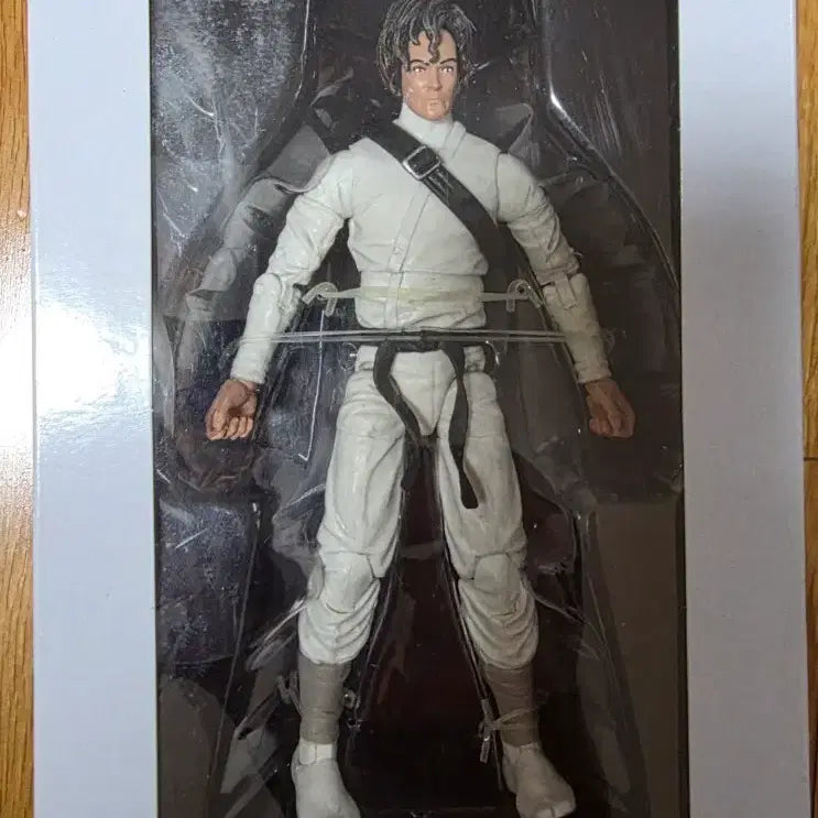[BUNJANG] Articulated Icons Shoken Ninja Figure / Articulated Icons 쇼켄 닌자 피규어