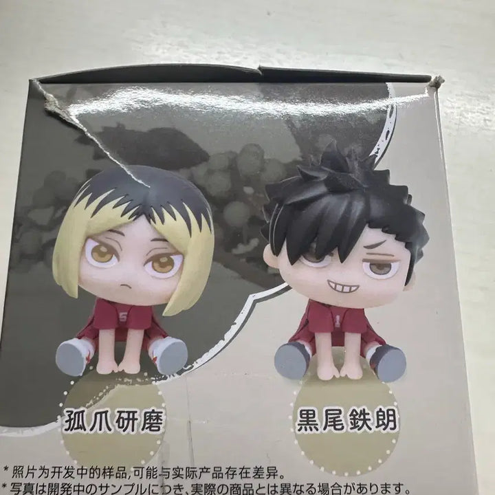 [BUNJANG] Haikyu Kuroo Q-murumi Figure / 급처)마지막 가격)하이큐 쿠로오 큐루미 피규어 판매