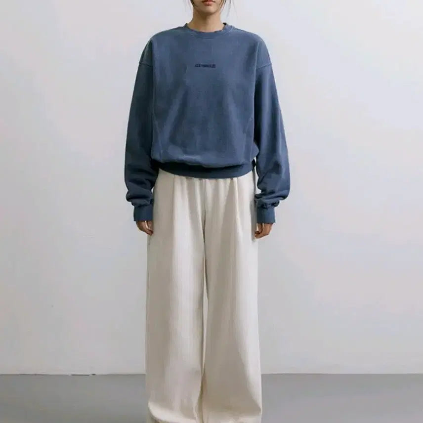 [BUNJANG] CITYBREEZE Pigment Sweatshirt / 시티브리즈 피그먼트 맨투맨 새상품